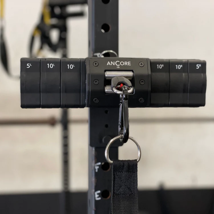 ANCORE Trainer Rack Mount