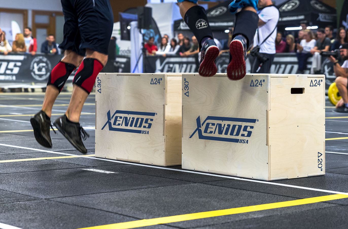 Xenios Contest Plyobox