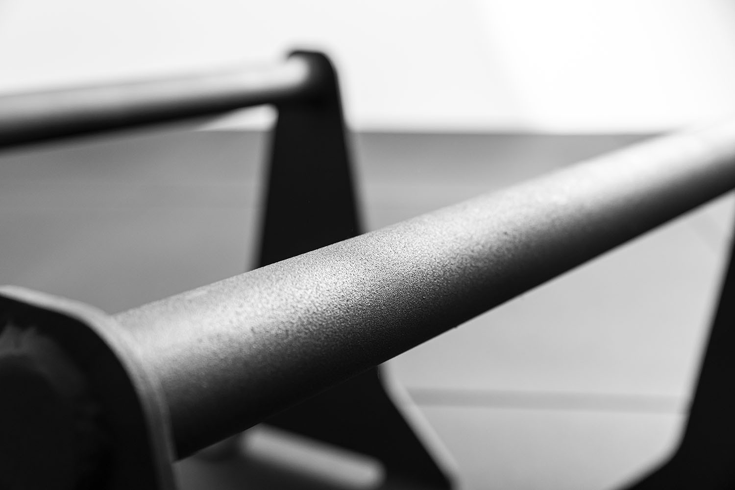 Xenios Parallettes (SALE!)