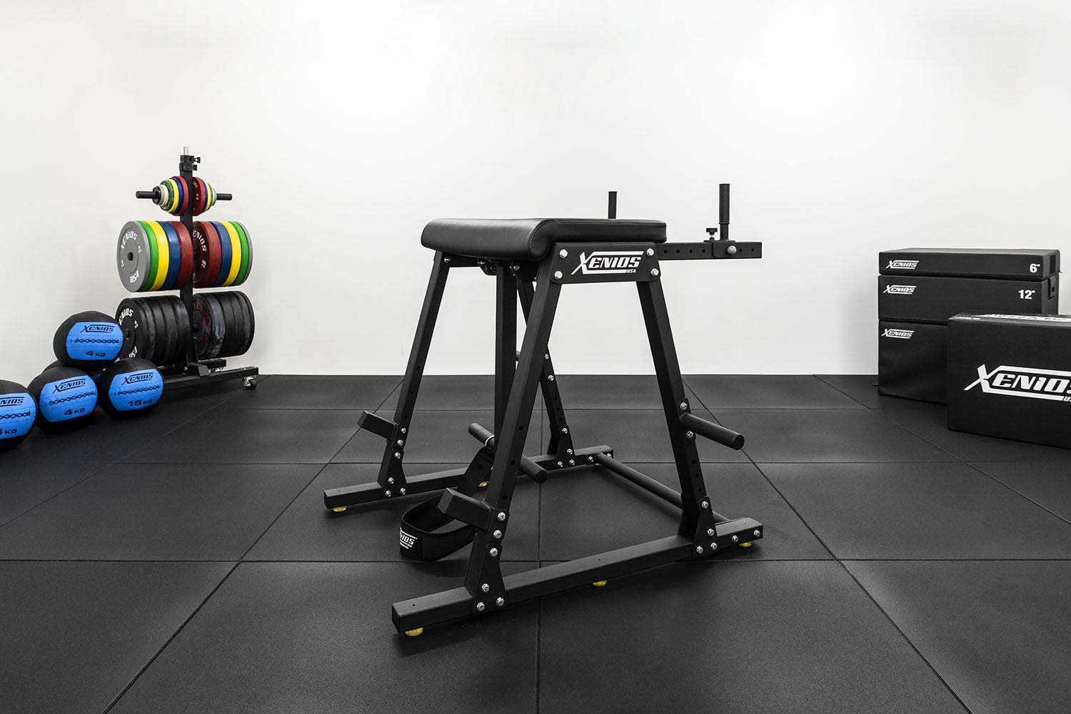 Xenios Reverse Hyper Extension