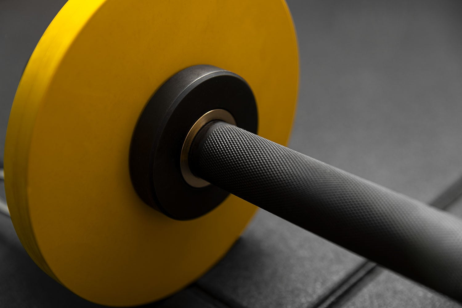 Xenios Plate Loaded Dumbbell (SALE!)