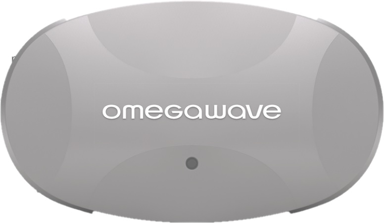 Omegawave Messsystem