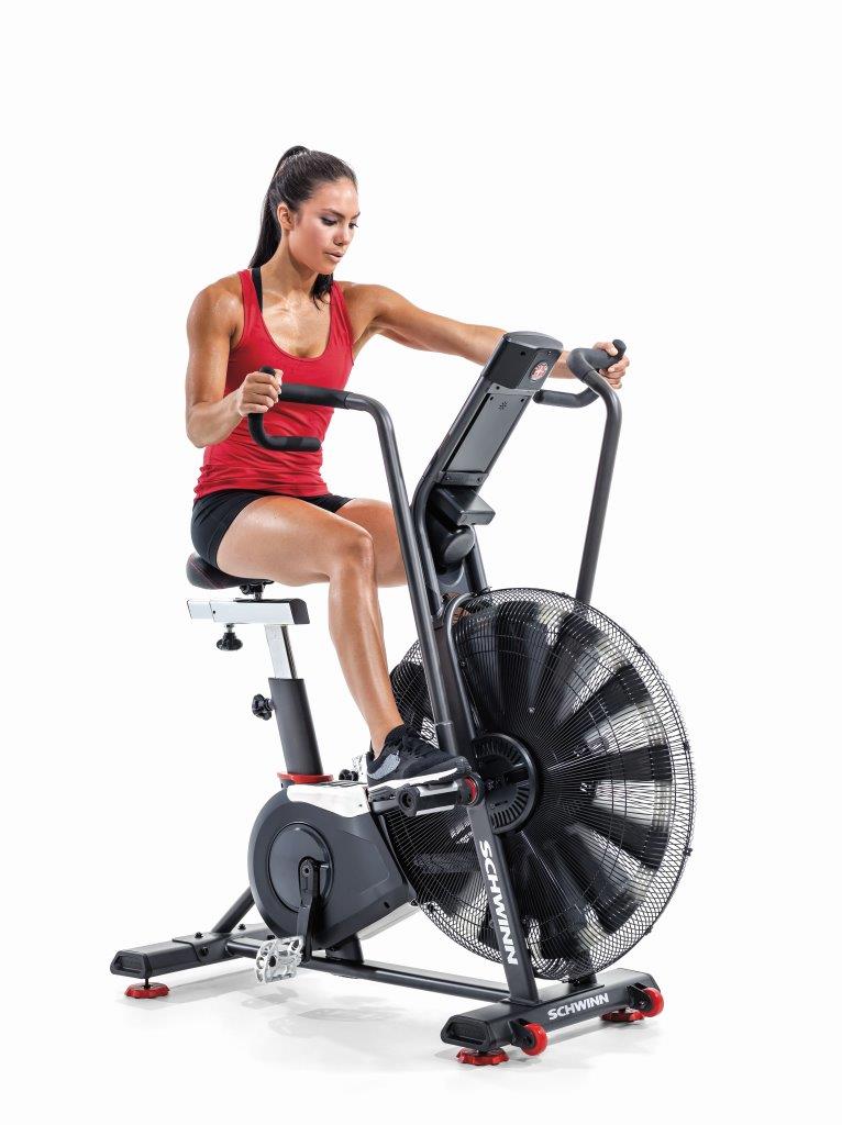 Schwinn Airdyne AD8