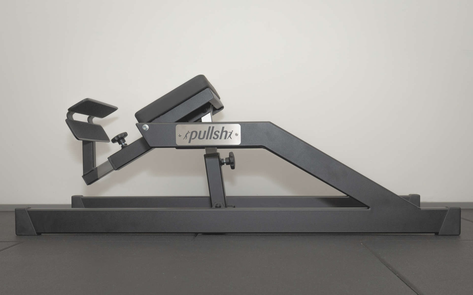 pullsh Hams_ter