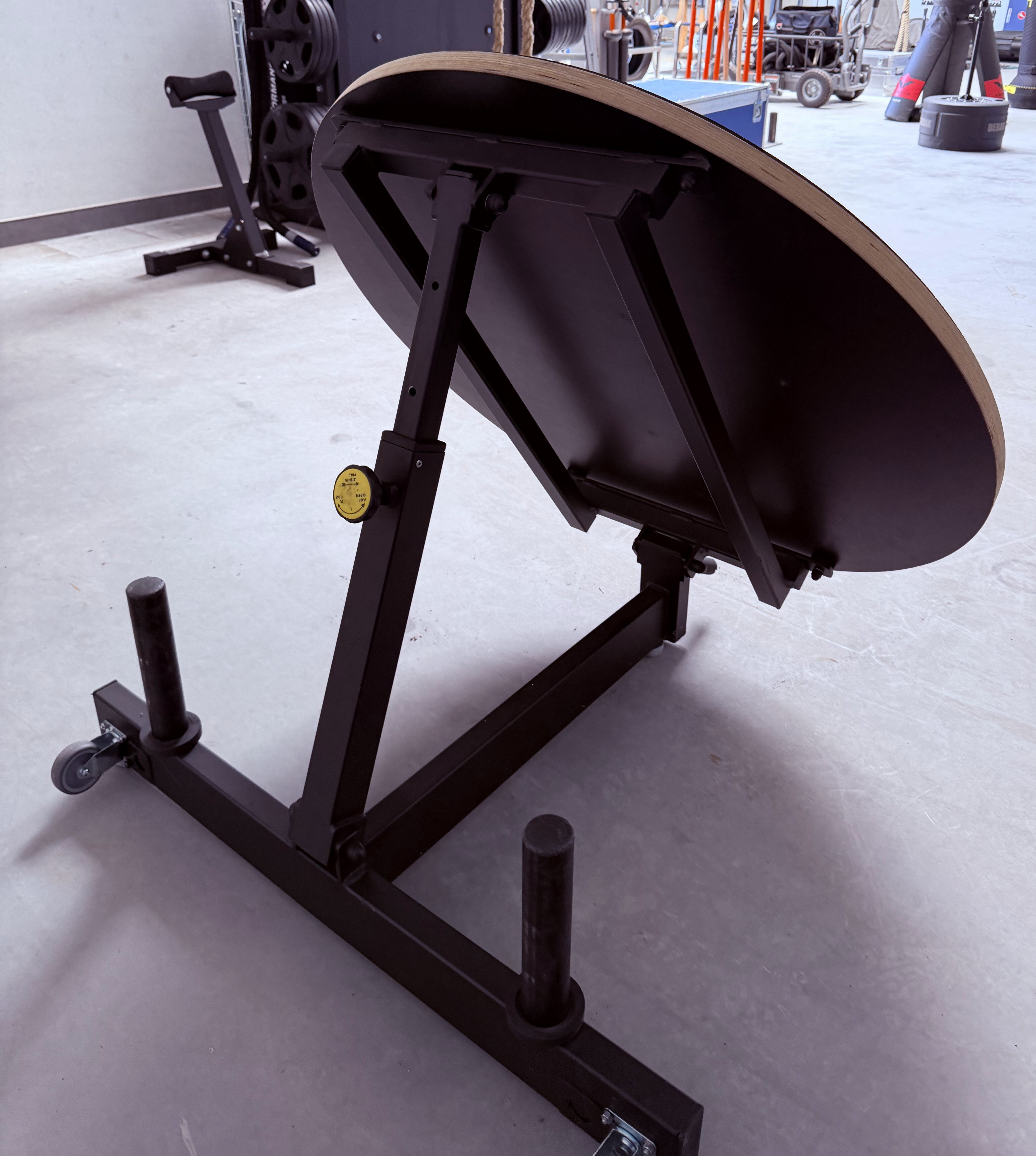 pullsh Medball Rebounder mit Holzplatte (SALE!)