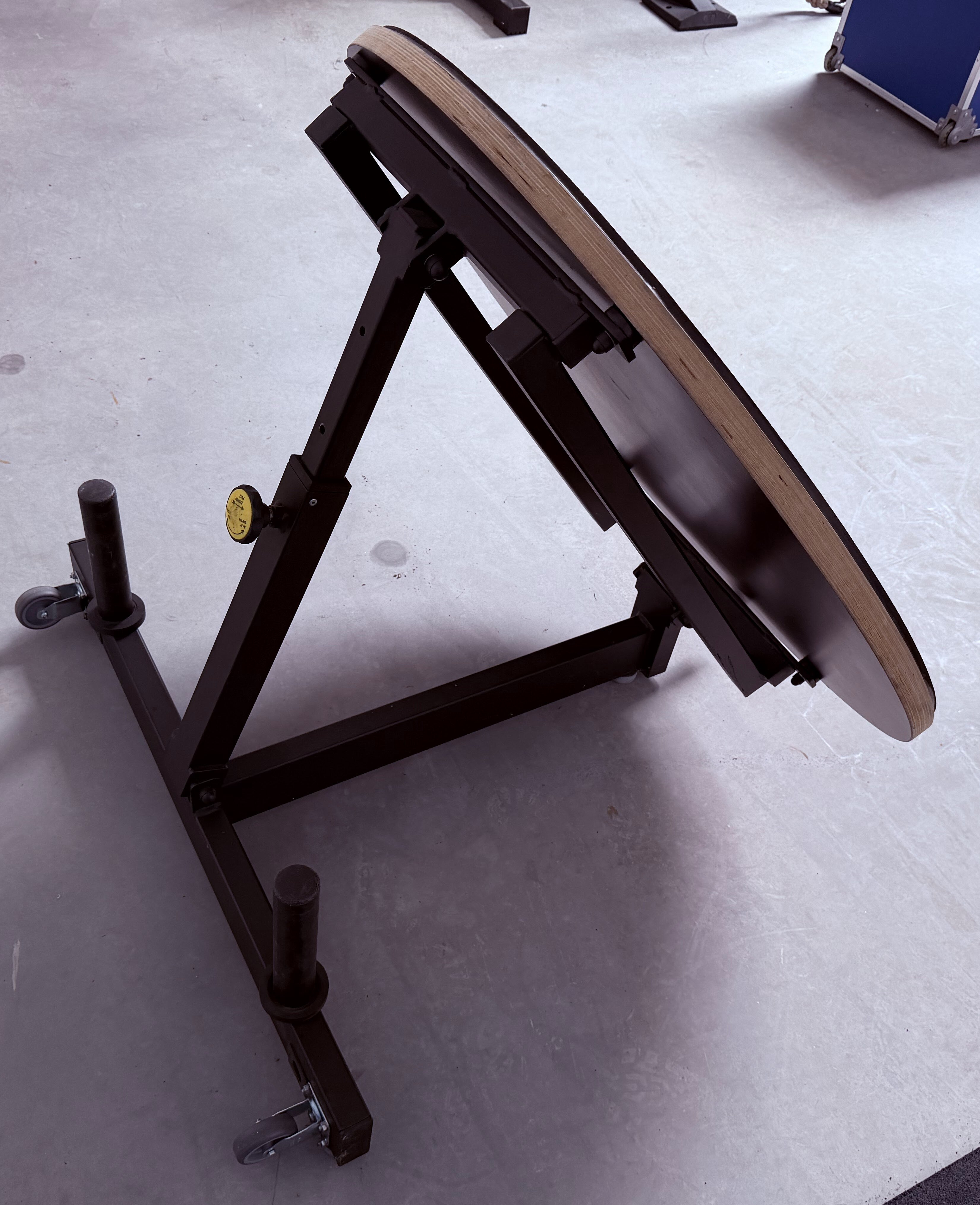 pullsh Medball Rebounder mit Holzplatte (SALE!)