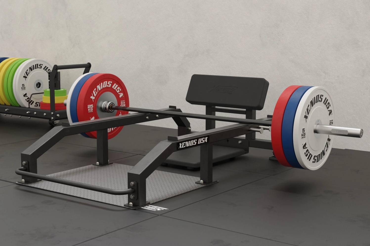 Xenios Hip Thrust Bank
