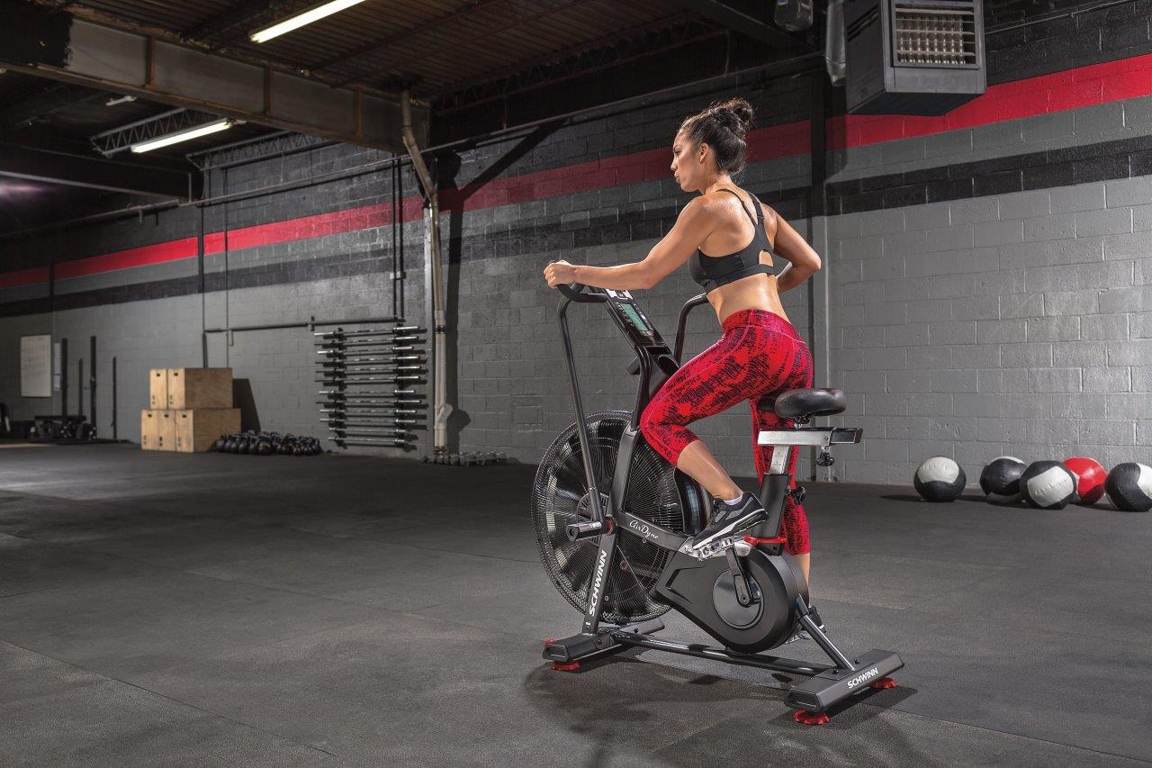 Schwinn Airdyne AD8