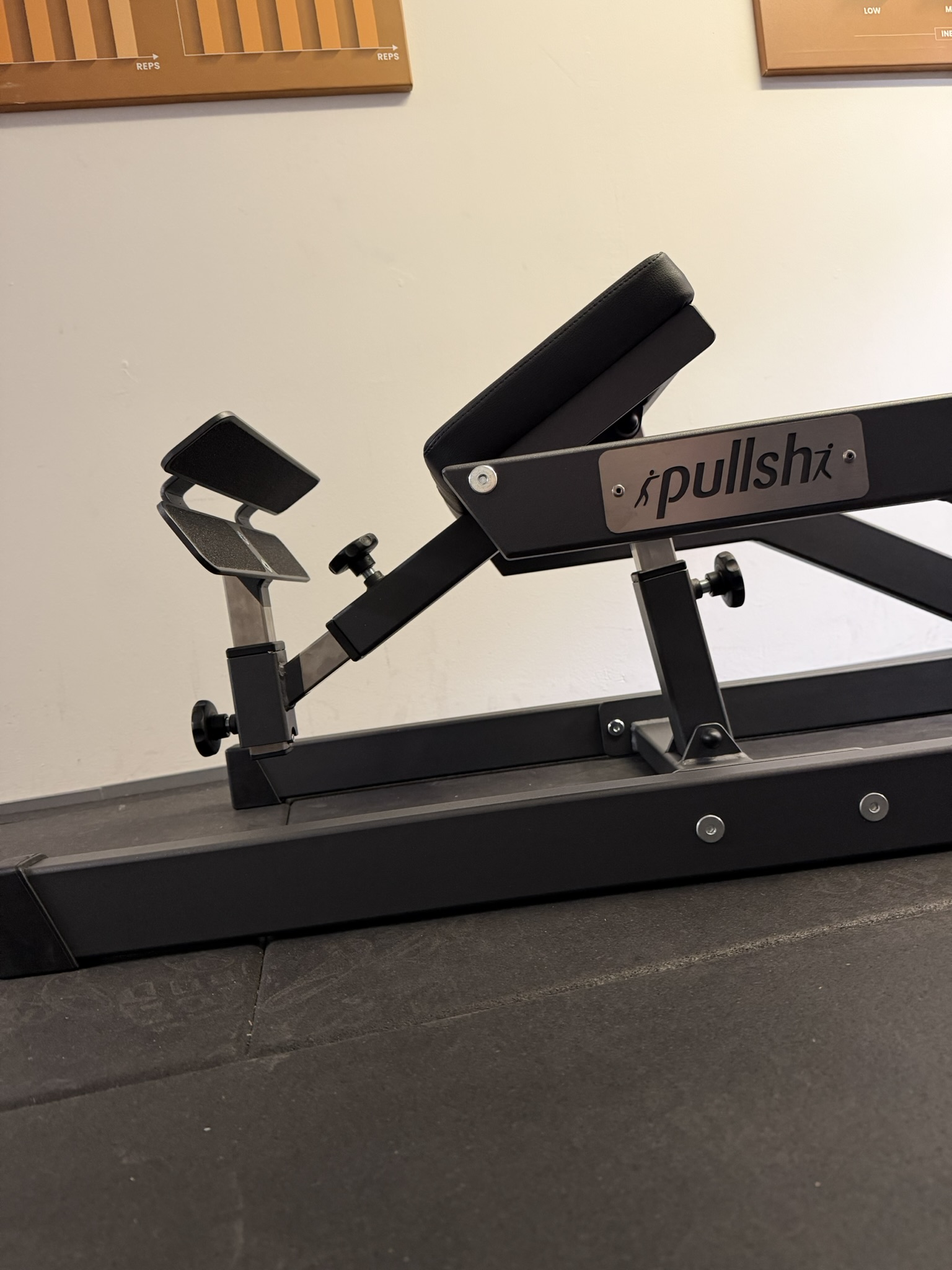 pullsh Hams_ter