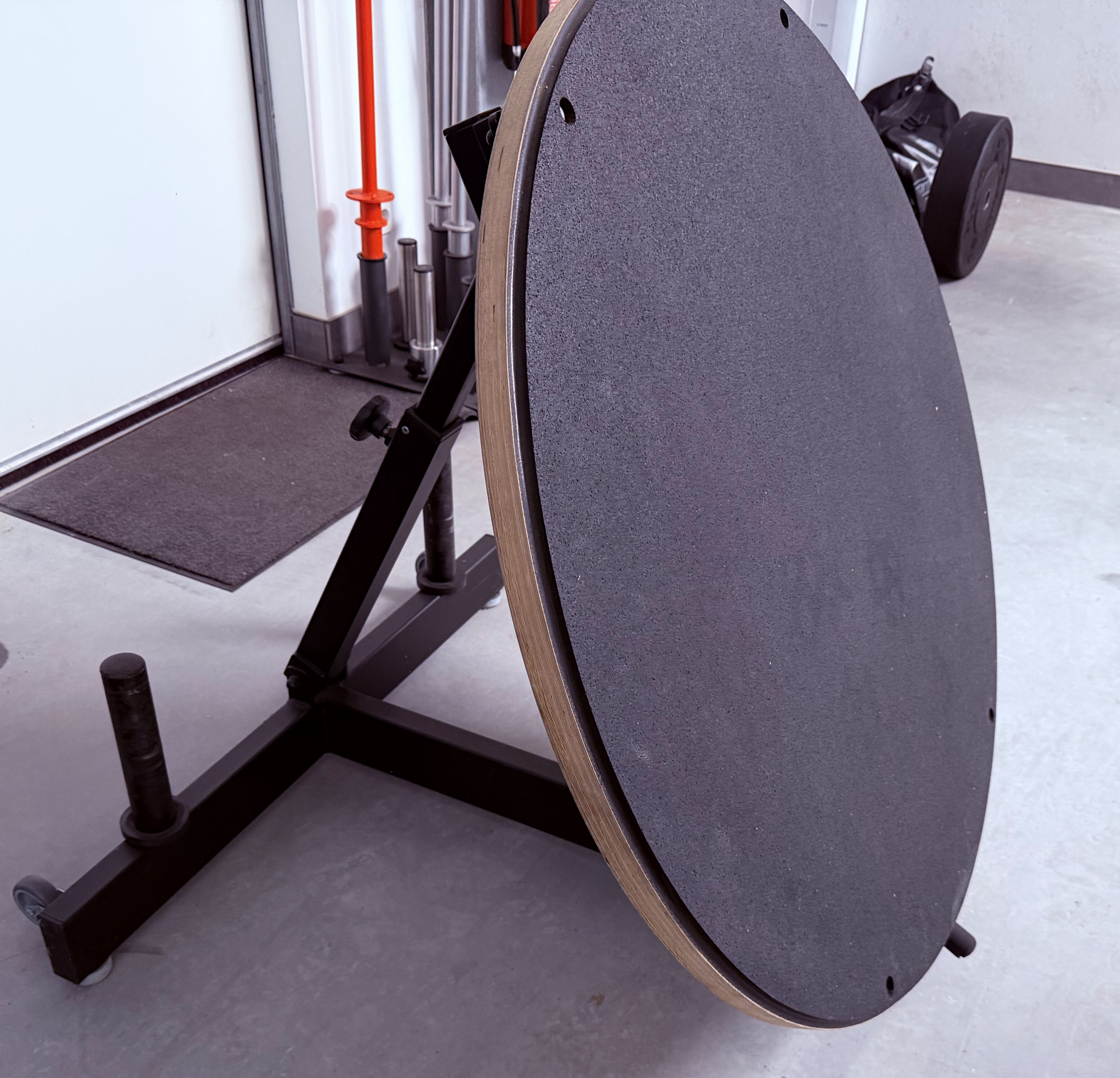 pullsh Medball Rebounder mit Holzplatte (SALE!)